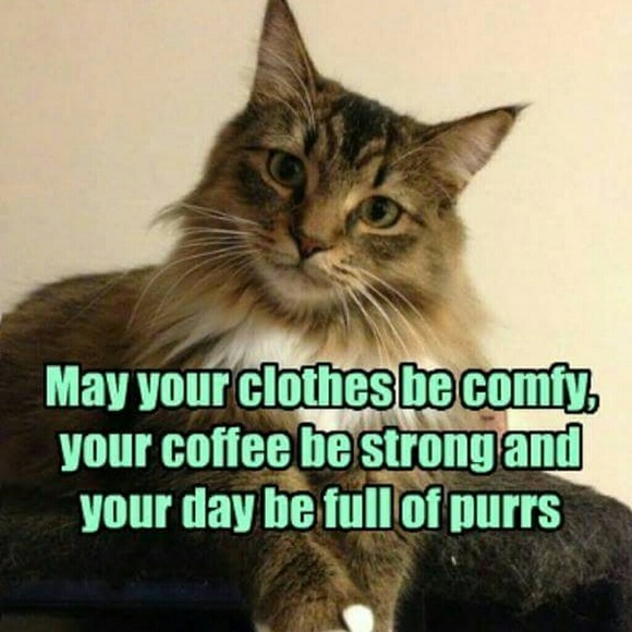 Hi, I'm Jennifer! Poshmark Ambassador ll - Picture 7 of 8